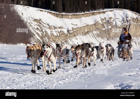 Yukon Quest Canada Hi Res Stock Photography And Images Alamy