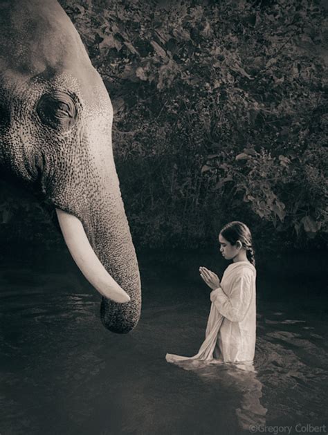 Ashes And Snow Gregory Colbert Elephant Love Elephant