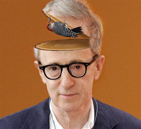 15 Funny Life Quotes From Woody Allen Movies
