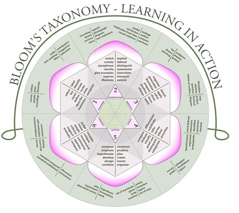 Blooms Taxonomy Flower Posters Blooms Taxonomy Blooms Taxonomy Porn
