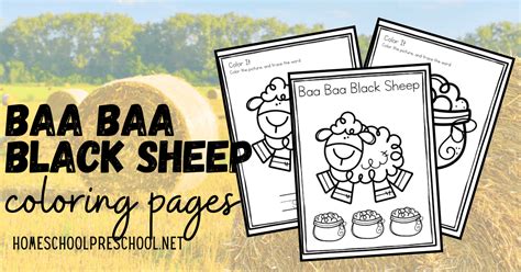 Baa baa, black sheep is a common nursery rhyme that first appeared in tommy thumb's pretty song book published in 1744! Free Printable Baa Baa Black Sheep Coloring Pages
