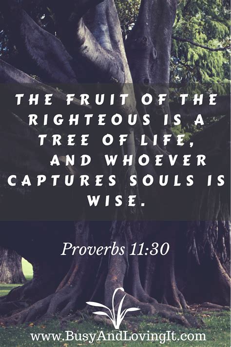 Tree Of Life Proverbs 1130 Busy And Loving It