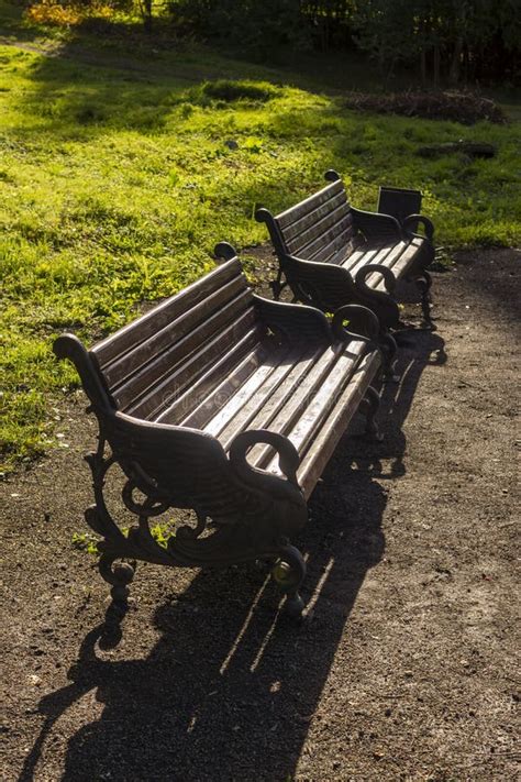 Park Benches In Autumn On A Sunny Evening Vertical Stock Image Image