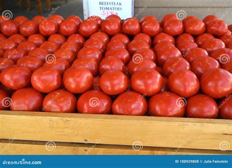 Beefsteak Tomatoes For Sale Stock Photo Image Of Summer Full 188929808
