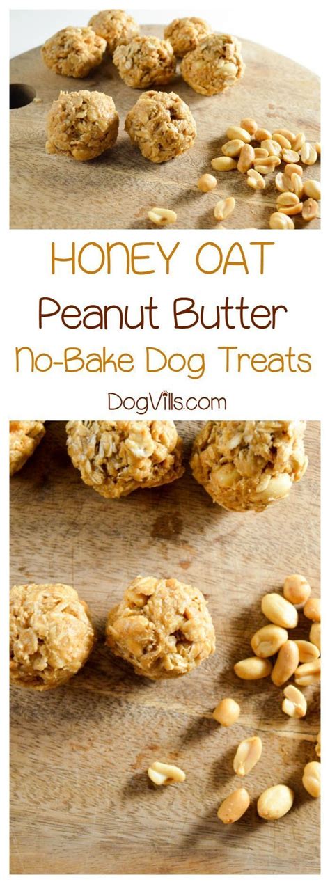 Hypoallergenic Dog Treat Honey Oat Peanut Butter Balls Recipe Dog
