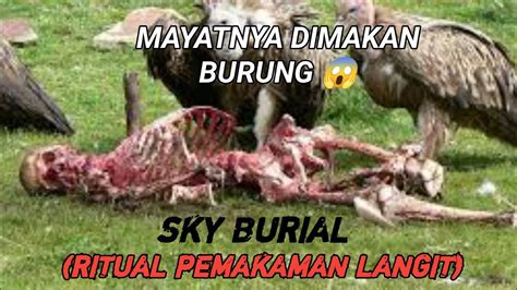 Ritual Pemakaman Langit Sky Burial Mayatnya Dimakan Burung