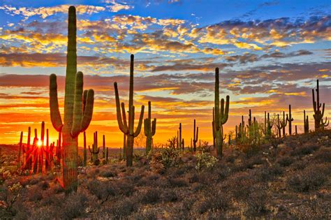 17 Most Beautiful Places To Visit In Arizona Page 14 Of 17 The