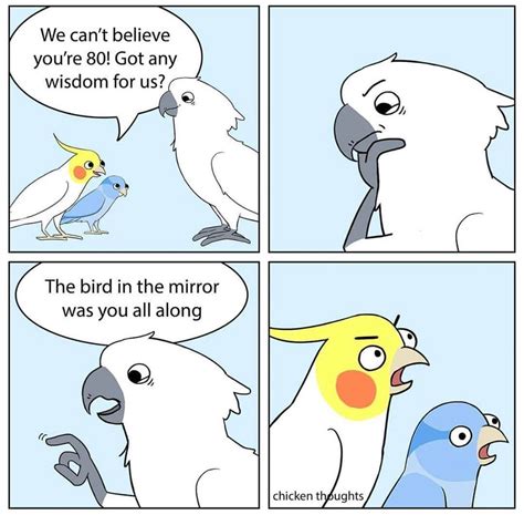 Best Pic Pet Birds Comic Popular In The Event That You Share Your Life