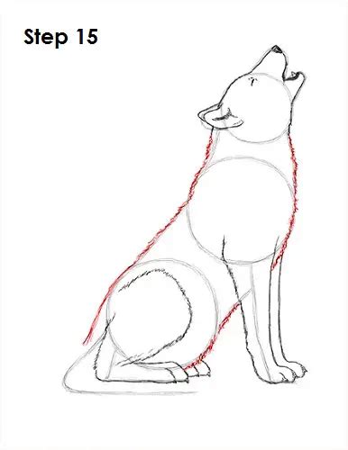 Cartoon Yak Drawing How To Draw A Wolf Howling Dozorisozo