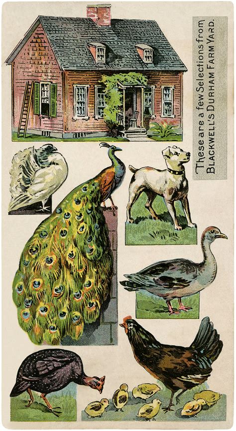 Cute Vintage Printable Farm Image Cut Out The Graphics Fairy
