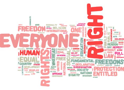 Delegitimating Human Rights Organizations | The Narrative ...