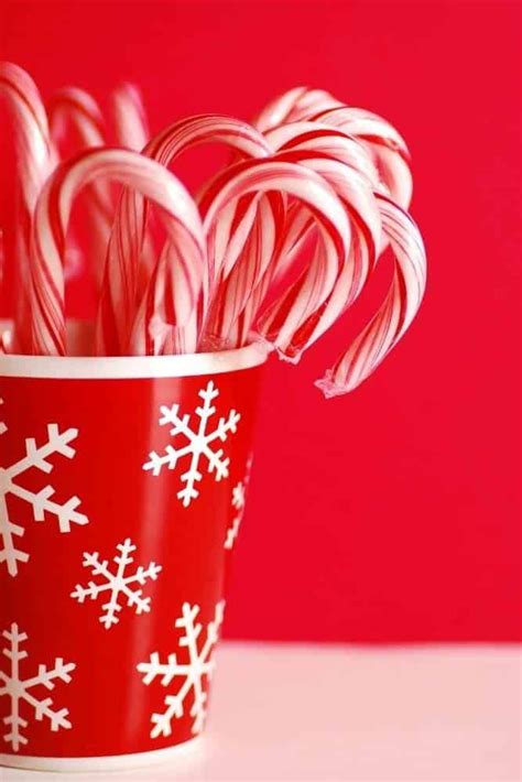 50 Festive Recipes Using Leftover Candy Canes Leftover Candy Candy Cane Candy Cane Recipe