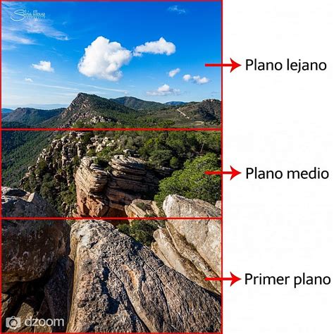 Descubre Las Grandes Aportaciones Del Primer Plano En Fotografía De