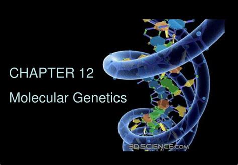 Ppt Chapter 12 Molecular Genetics Powerpoint Presentation Free