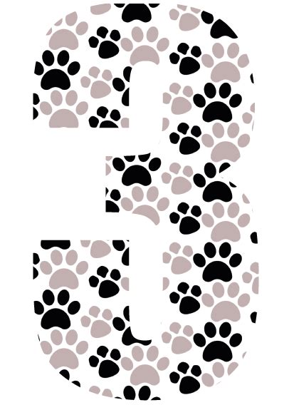 Wheelie Bin Numbers Paw Print Numbers For Dog Lovers Number 3