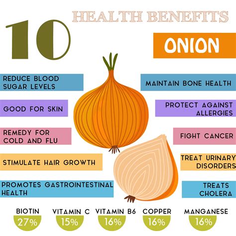 Health Benefits Of Onions And Fun Facts Big Lous Onion Sauce