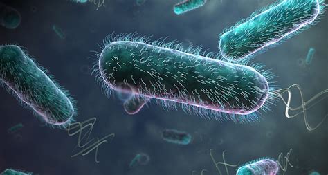 Swimming Bacteria Remove Resistance To Flow Science News