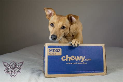 I initially ordered a different renal diet food ithat my dog liked for two days and stopped eating entirely.chewycom was so kind, they happily returned and refunded my order. ZoePhee: Weruva Caloric Harmony Dog Food! A Chewy Review!