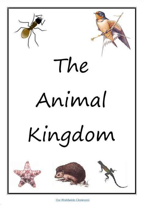Animal Kingdom Science Project