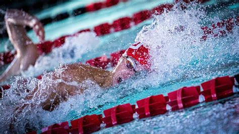 Utah Swim And Dive Is Ready For Pac 12 Championships Bvm Sports