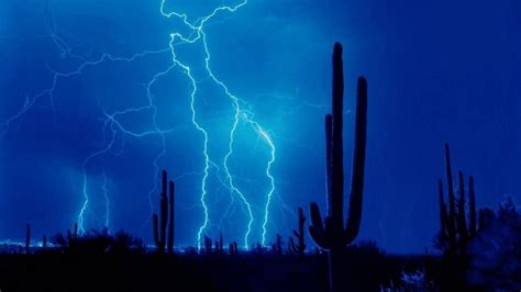 🥇 Storm Cactus Lightning Lighting Thunder Up Skies Sky Wallpaper 24731