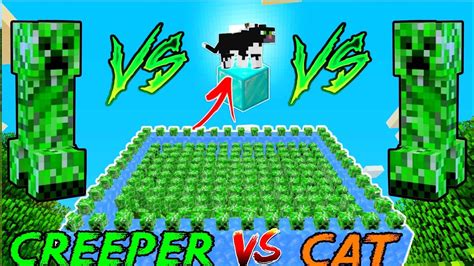 Creeper Vs Cat In Minecraft 😋 Youtube