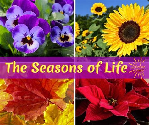 Seasons Of Life Metaphor For Life And Business Icreatedaily