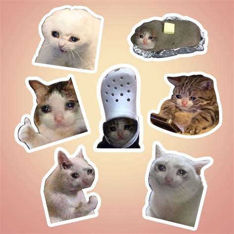 Crying Cat Sticker Pack Pack Of 7 Meme Crying Cat Stickers Etsy