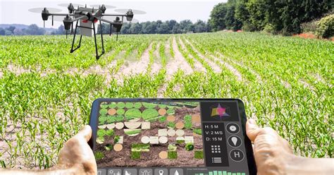 La Agricultura En La Era Digital Un Mundo No Tan Interconectado