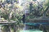 Images of Silver Springs Hotels Florida