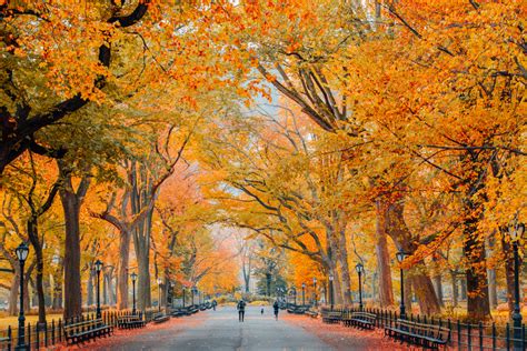 Celebrate Fall With These Great Spots In New York City Worldtravelling