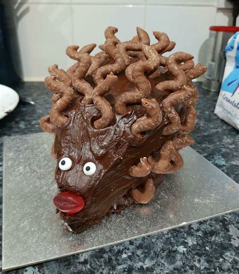 30 times people tried their hand at making hedgehog cakes but failed miserably artofit
