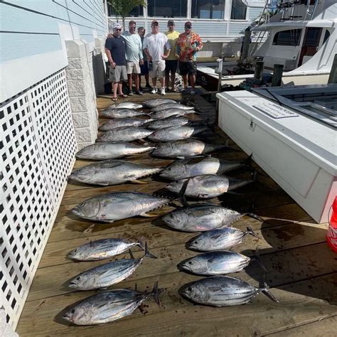 And The Tunas Were Snappin Ocean City Md Fishing