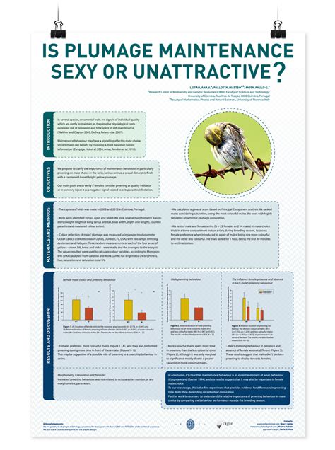 Scientific Poster On Behance