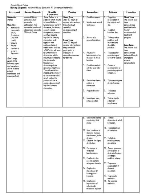 Ncp Impaired Urinary Elimination Crf Urinary System Renal Function