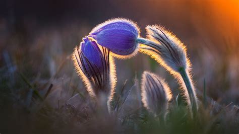 9 Winning Photos That Perfectly Combine Light And Nature Nature