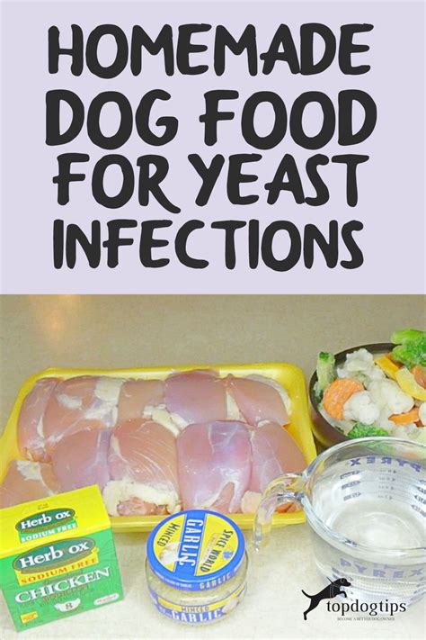 Recipe Homemade Dog Food For Yeast Infections Artofit