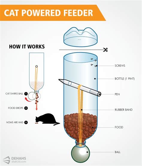 Discover the best cat slow feeders in best sellers. DIY Cat-Powered Feeder - Jeanne Foguth's Blog