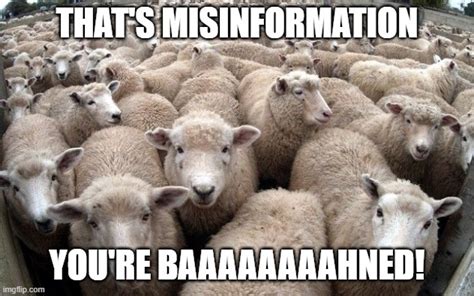 Sheeple Imgflip