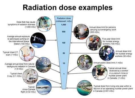 Radiation Dose Examples Radiation Dose Radiation Radiology Imaging