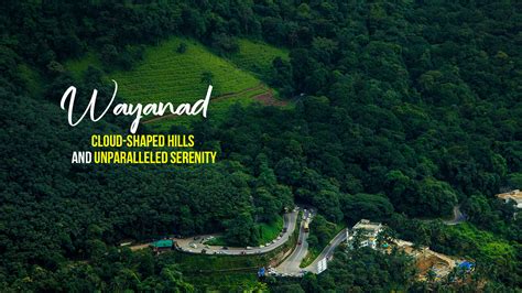 Wayanad Tour Packages Book Wayanad Tours And Holiday Packages Tripoto
