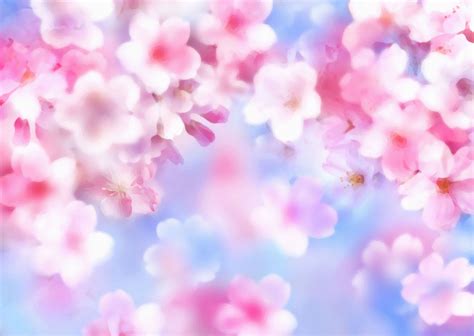 桜（さくら）の画像・イラスト・フリー素材 No061『桜壁紙・花びら・青空』