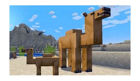 What Do Camels Eat in Minecraft?