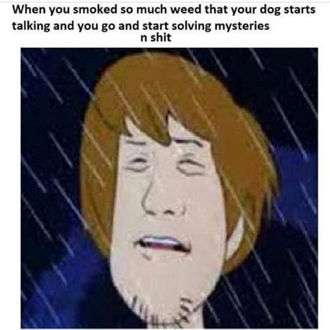 Pin By Anton Loots On Shaggy Scooby Doo Memes Funny Memes Scooby