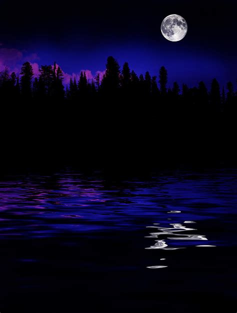 Forest Moonrise Reflection Photograph By Lane Erickson