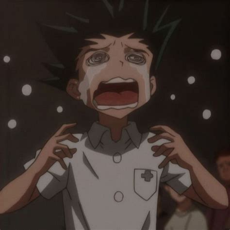 Give Me 10 Minutes Ill Give You The Truth About Gon Crying Hunter X