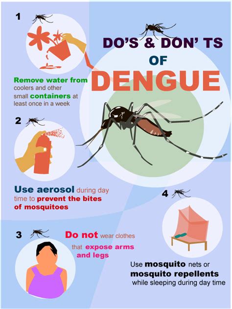 Protecting Yourself From Dengue Carrying Mosquitoes Edge Davao