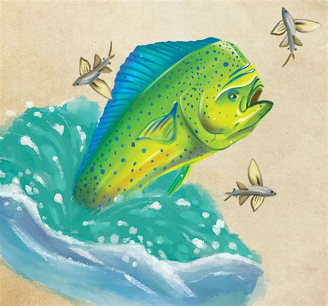 Captain bartolo speak spanish, english, german, french and dutch. Fresh Catch - Why mahi-mahi is a popular offshore game ...