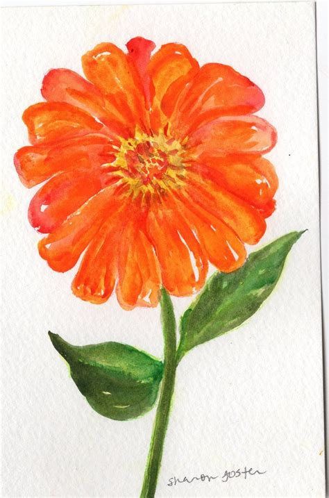 Zinnia Watercolor Painting Original Small Flower Art 4 X 6 Etsy