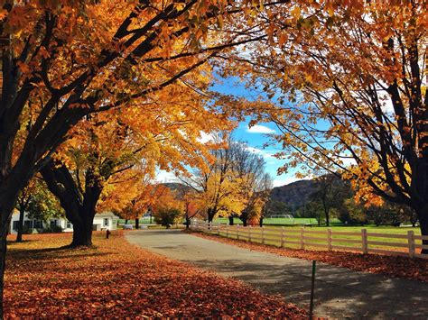 25 Fun Fall Things To Do In New England Caits Plate